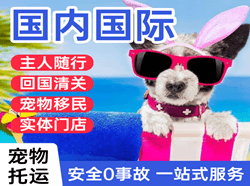 阿尔山伊尔施国际宠物托运 【国